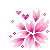 pink flower