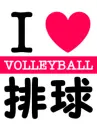 i love volleyball