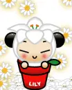 cute kawaii pucca lily flower