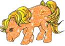 Pony