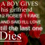 12 Roses
