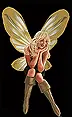 Fairy