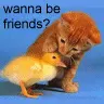 wanna be friends