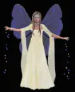 Fairy