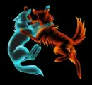 FIRE VS ICE