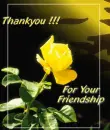 Thank you for your friendship