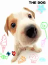 cute kawaii puppy dog