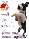 cute kawaii puppy dog