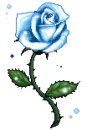 Blue Rose