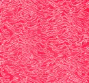 RED TIGER STRIPES