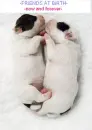FRiENDS AT BiRTH