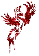 red bird