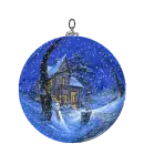 winter in a globe