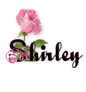Shirley