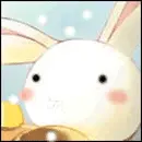cute bunny
