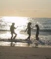 Beach Scene