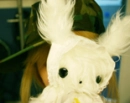 cute kawaii kana moon bunny