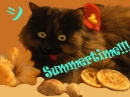 summertime