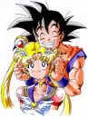 SAILOR MOON AND GOKU