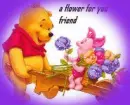 pooh