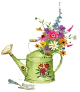 Watering can