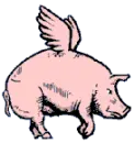 Pigfly