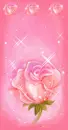 Rose...