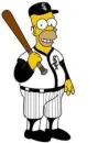 homer sox fan