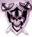 oakland raiders (skull version)