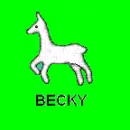 llama