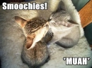 smoochies