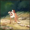Bambi