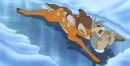 Bambi = Thumper