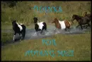 thanks for the add