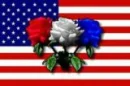 American Flag with flowers