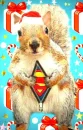 Santa Squirrel