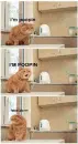Poopin'