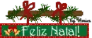 Fleliz Natal!
