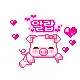 cute piggy