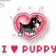 i â™¥ puppies