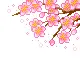 three of sakuras