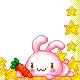 bunny border