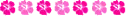 cute kawaii hibiscus flower divider