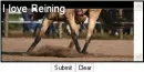 Reining horse comment box