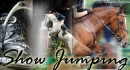 Show Jumping