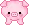 cute animal