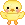 cute animal