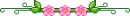 pink flowers