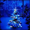 chirstmas tree
