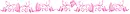 pink divider